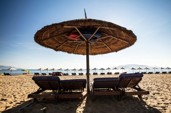 Nos animaux de compagnie, véritable source de bien-être